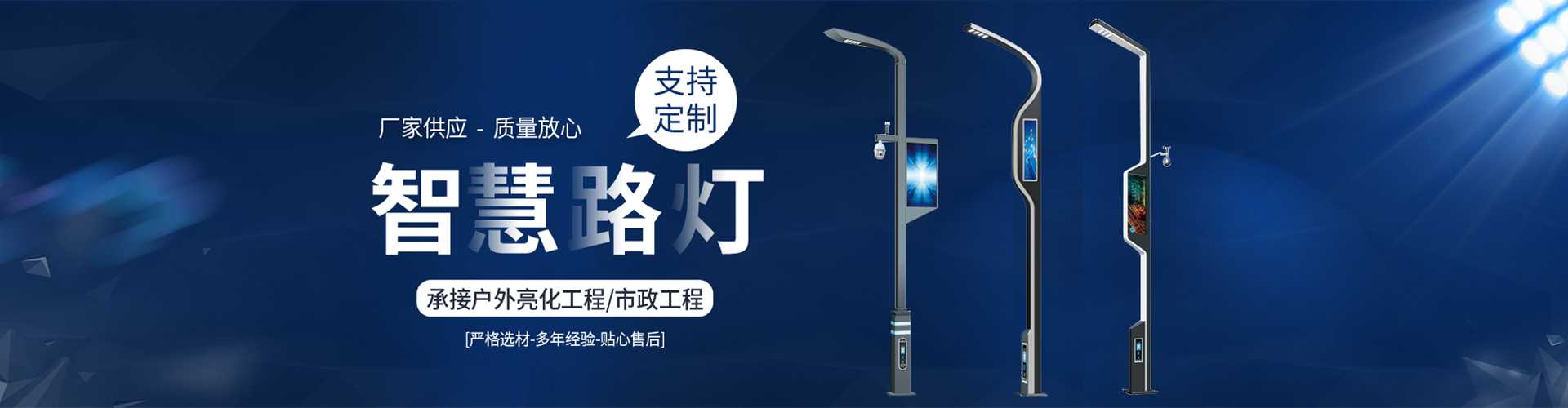 龙子湖区太阳能路灯定制厂家