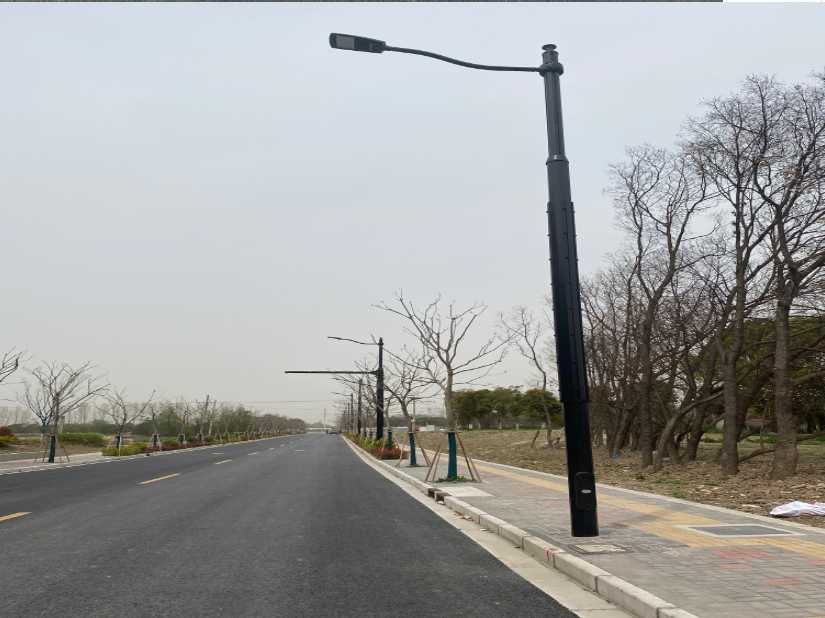 龙子湖区上海综合杆 太阳能路灯工程